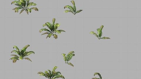 Huashan - plants - weeds 02