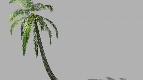 Huangguoshu Waterfall - Coconut Tree 01