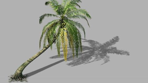 Huangguoshu Waterfall - Coconut Tree 03
