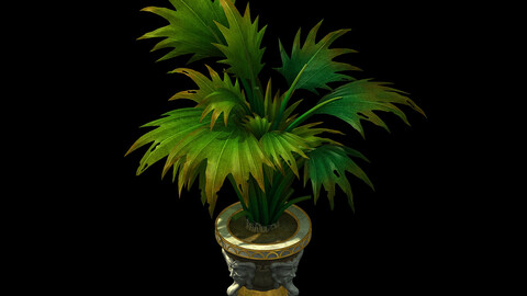 Church Hospital - flower pots 01