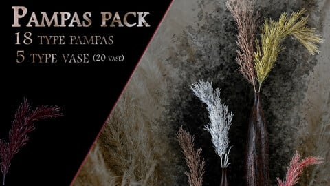 Pampas pack + 20 vase