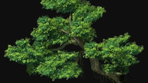 Fairy Mountains - Cliff - Tree 01