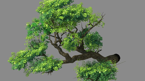 Fairy Mountains - Cliff - Tree 02