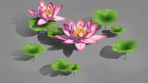Elves Villa - lotus 02