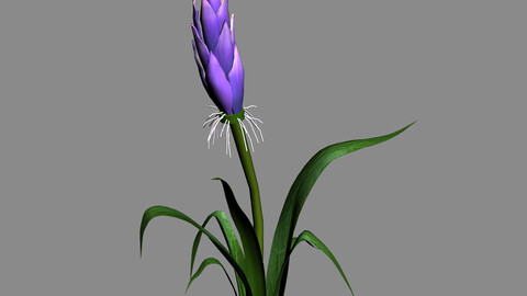 Elven Villa - flowers 03