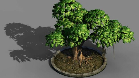 Elven Villa - Broadleaf 01