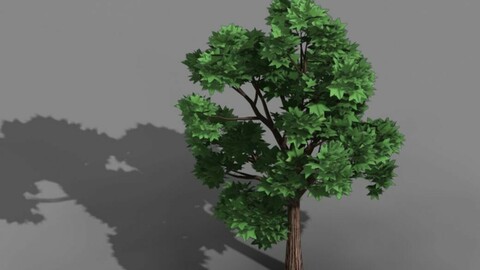 Elven Villa - Broadleaf 04