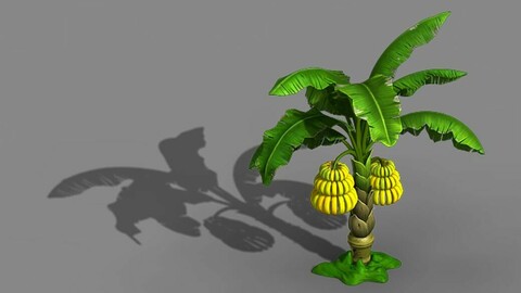Empty mulberry - banana tree 01