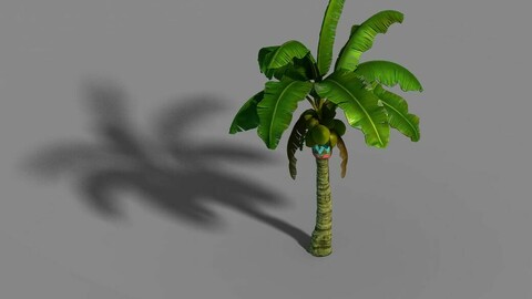 Liuli Island - coconut tree 01