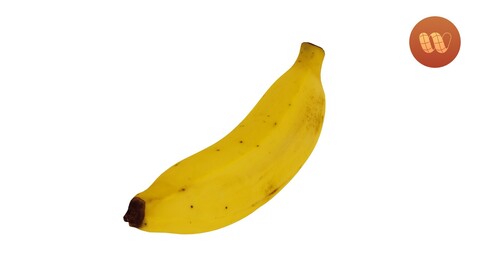 Banana Musaceae - Real-Time Scanned