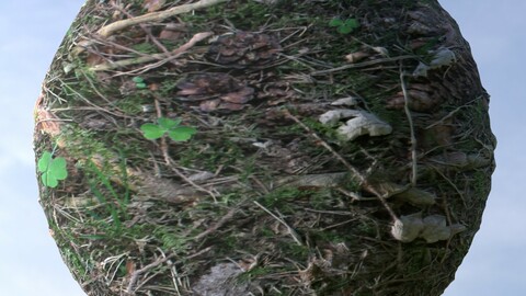 Forest Ground 7 PBR Material