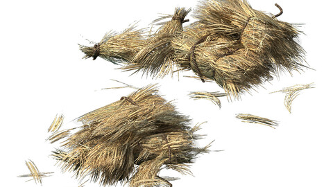 Crop - straw-02