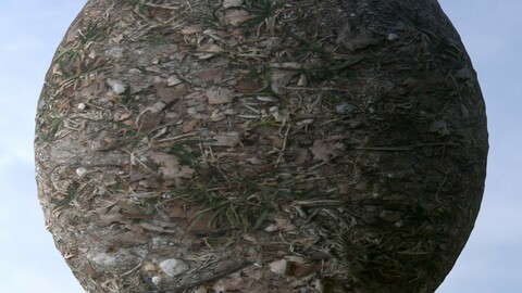 Forest Ground 8 PBR Material