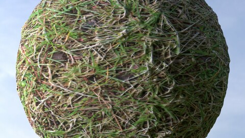 Grass 9 PBR Material