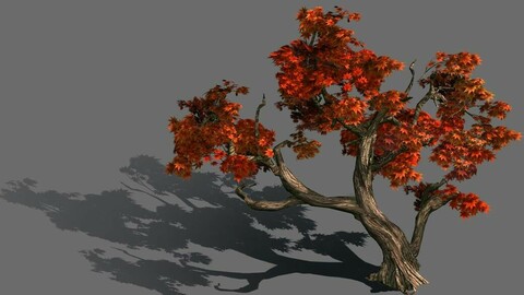 Forest - Maple 9901