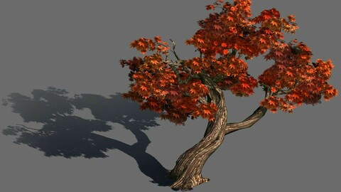 Forest - Maple 9903