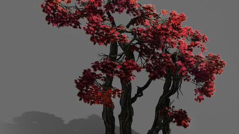 Forest - Maple 9904