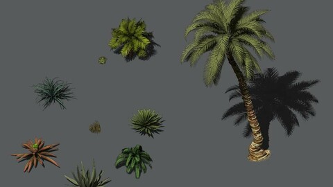 Desert Plants - Hay Grass 273