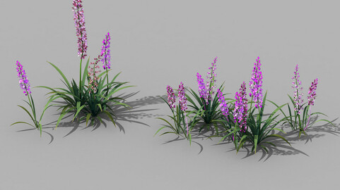 Shanglin Yuan - Plant - Flower 02