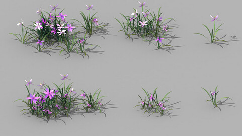 Shanglin Yuan - plants - flowers 04