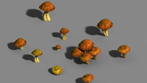 One hundred thousand mountains - mushrooms 01