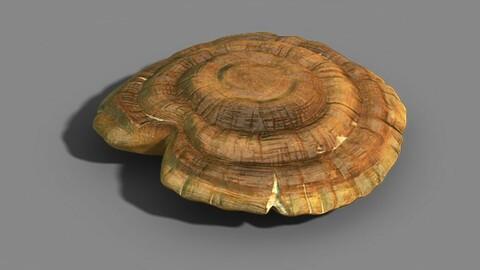hundred thousand mountains - Ganoderma lucidum 01