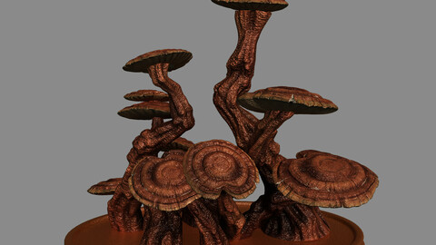 Indoor - potted plants - plants 02