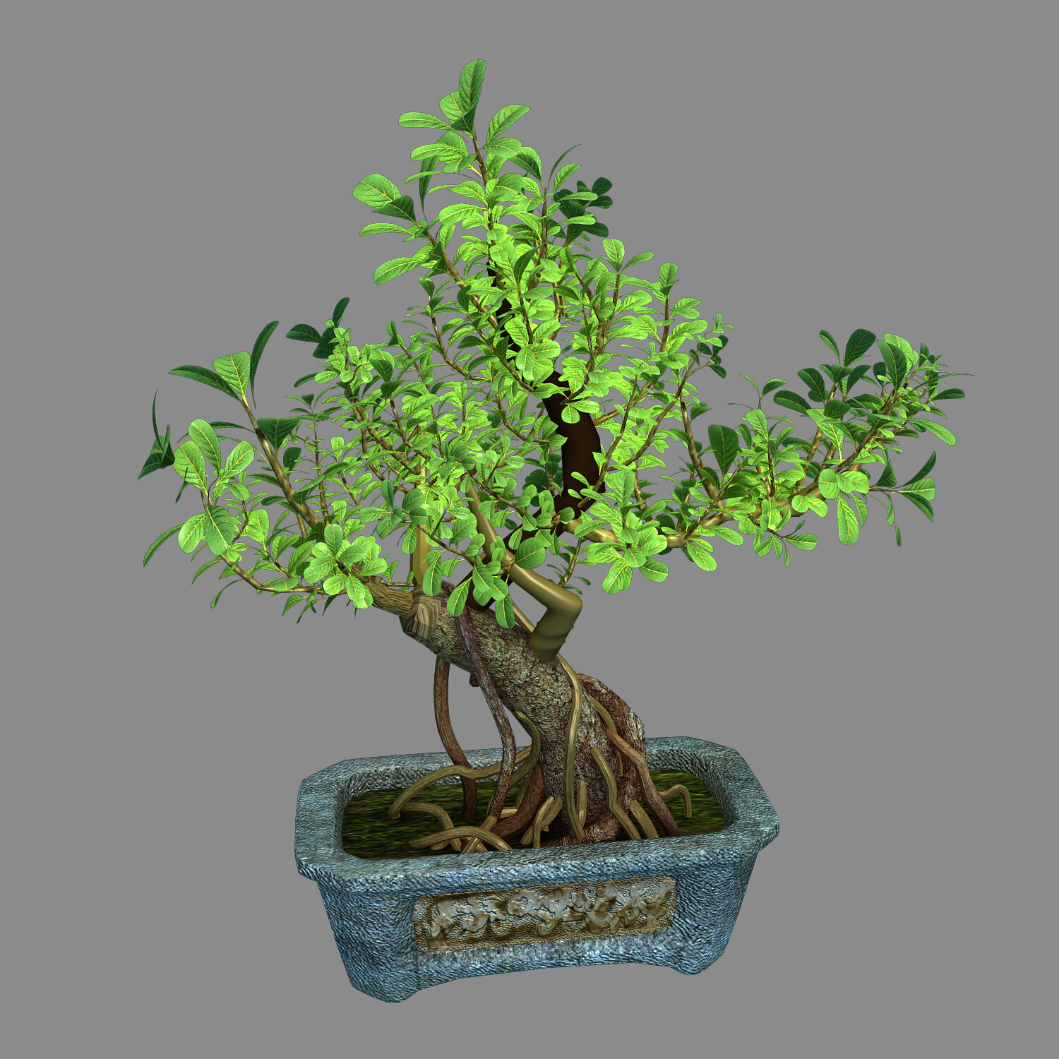 ArtStation - Indoor - Potted - Plants 03 | Resources