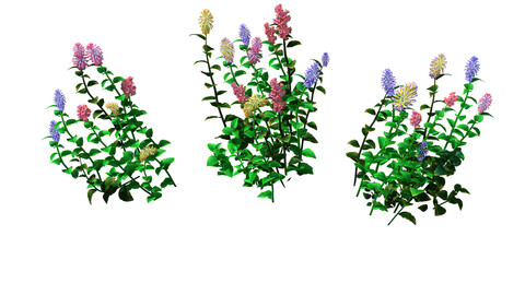 Crystal Marsh - Shrubs 02