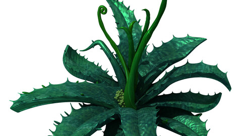 Crystal Marsh - Flower 03