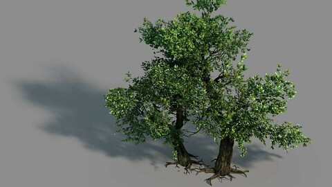 Material - tree 02
