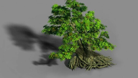 Material - tree 03