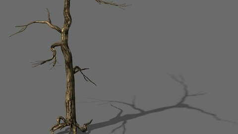 Explore the mountains - dead wood 01