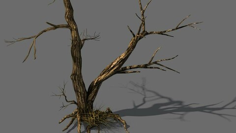 Explore the mountains - dead wood 03
