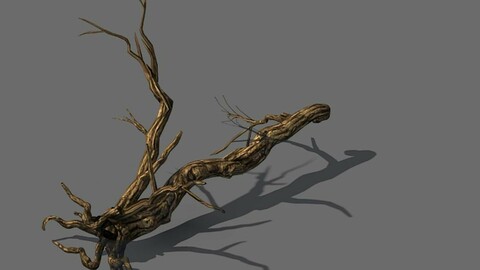 Explore the mountains - dead wood 05