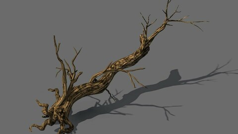 Explore the mountains - dead wood 06