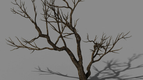 Explore the mountains - dead wood 07