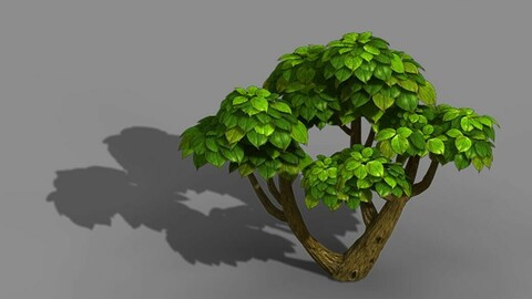 Tianyin Temple - Plant 603