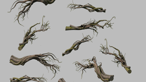 Tongtianhe - plants - climbing vine