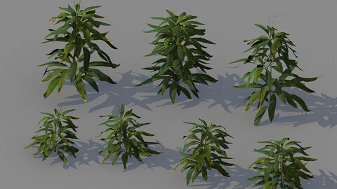 Journey to the West - Bamboo Shrubs 02