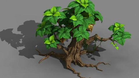 Koike town - plant 02