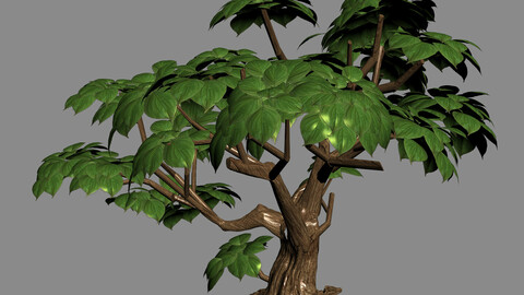 Koike Town - Plant 03