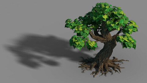 Small bamboo peak - tree 08