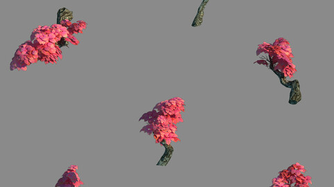 Small bamboo peak - bamboo trees 02