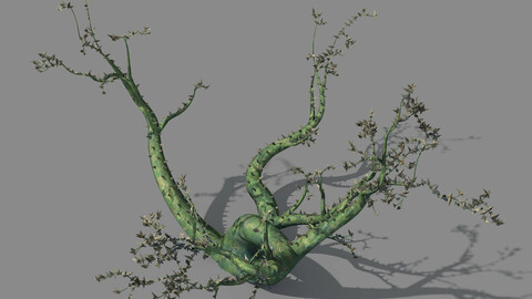 New Village - ornamental tree 01