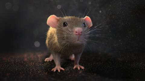 Brown rat with low poly fur