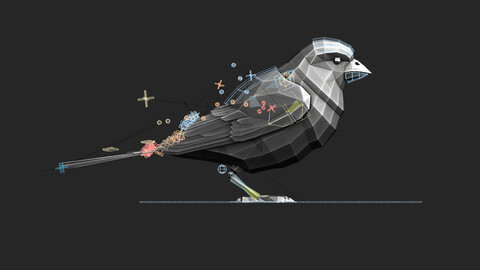 Low Poly Junco - Blender 2.9
