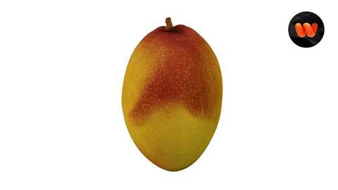 Mango - Extreme Definition 3D Scanned Model