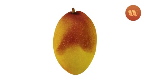 Mango - Real-Time 3D Scanned Model