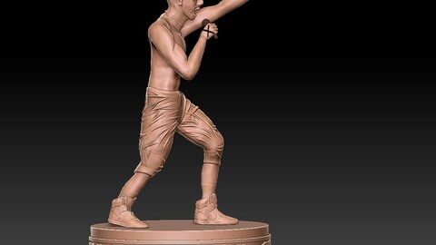 Ray "youth of today" 3d print